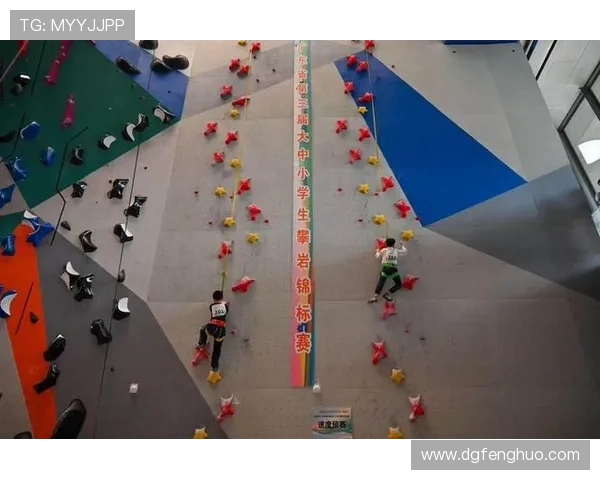 深圳攀岩队在全国速度排行榜中荣获第七名展现出色实力与团队合作精神 深圳攀岩队在全国速度排行榜中荣获第七名展现出色实力与团队合作精神