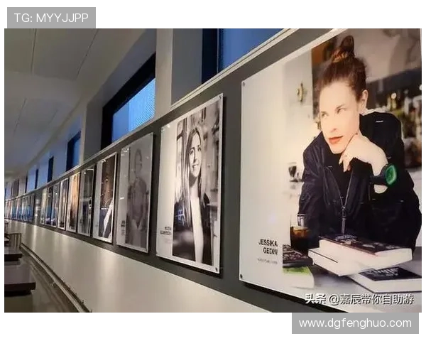 瑞典女性与美国女性的生活方式与价值观深度对比分析