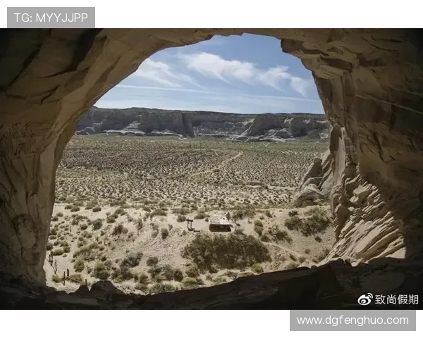 雷斯与阿里安曼的精彩对决分析及赛前预测展望