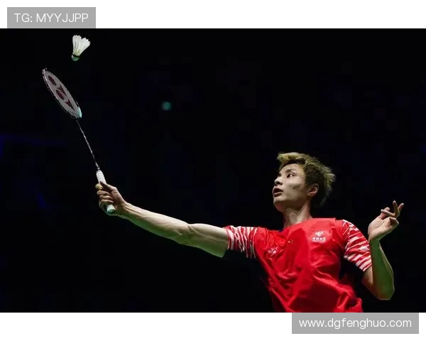 南京羽毛球队在全国锦标赛中的灵活性表现分析与点评